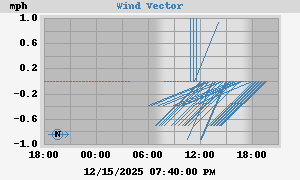 Wind Vector